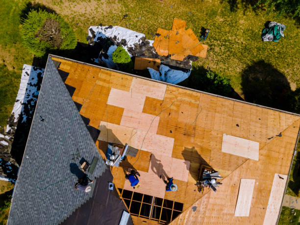 Best Roof Repair Specialists  in Polo, IL