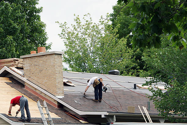 Best Roof Maintenance Services  in Polo, IL
