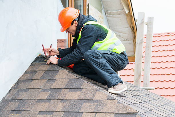 Best Roof Gutter Cleaning  in Polo, IL