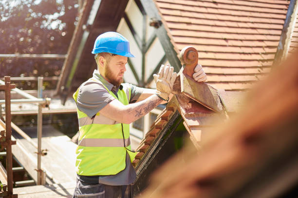 Best Flat Roof Repair Services  in Polo, IL