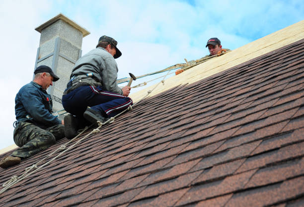 Best Roof Restoration Services  in Polo, IL