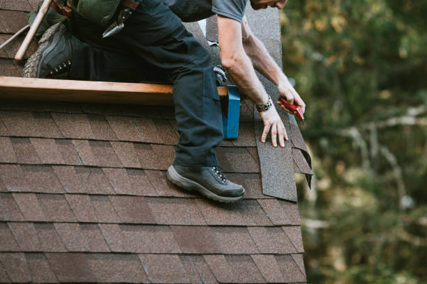Professional Roofing Contractor in Polo, IL